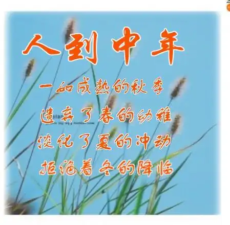 人到中年后的困境