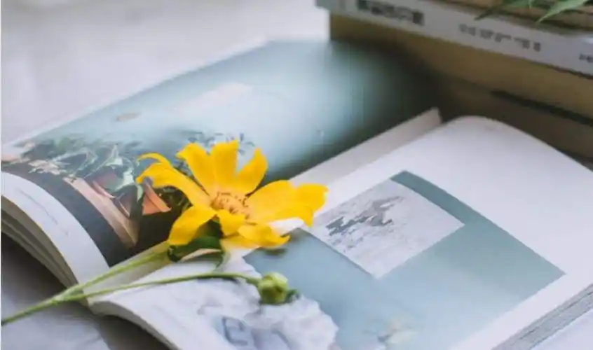 一个人安静的图片(一个人安静的图片淡然)