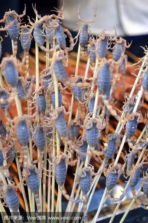 北京街头烤蝎子作为中国街头小吃