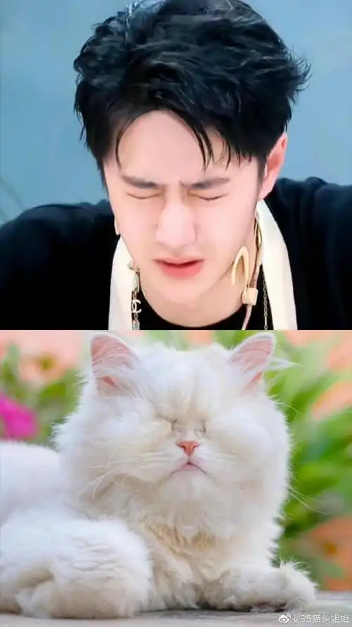 王一博可爱还好吃