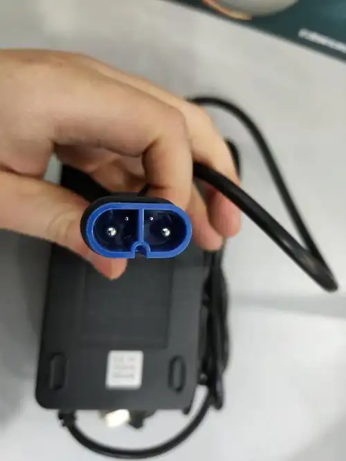 台铃石墨烯充电器智能4a5a云插48v60v72v全新台铃电动车专用 查看车子