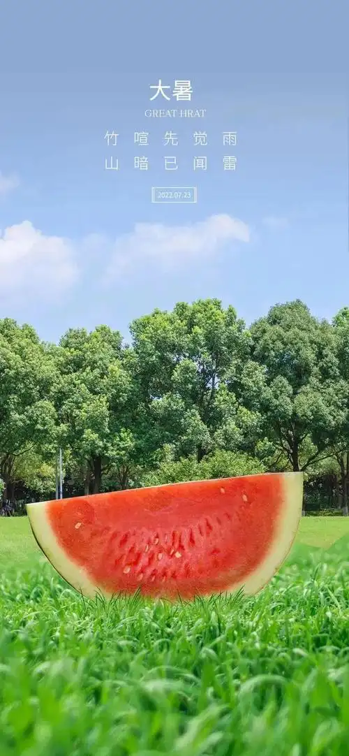 大暑图片配图简单唯美高清大全大暑的朋友圈文案短句子