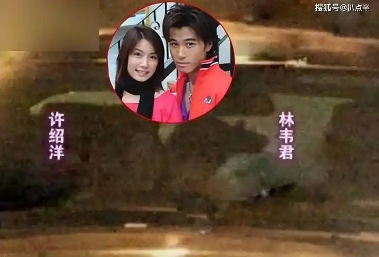 林韦君45岁官宣恋情仍不被祝福,太可惜_男友_许绍洋_作品