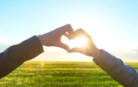 浪漫的情侣在日落打手势用手指一颗心的爱照片