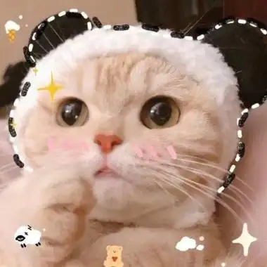 高清可爱的猫咪头像图片2021最火爆