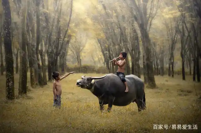 让你回到童年的一组照片,有些欢声笑语只属于小时候