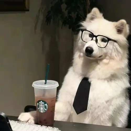 日常的路人a#汪现在也会用萨摩耶当头像,他说他特别喜欢这只,因为看