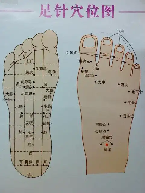 解释词语的四种方法 四种神足什么意思?如何解释?