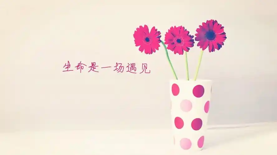 文字花生命是一场遇见文字控壁纸