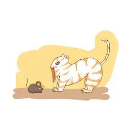 二次元gif表情包卡通漫画发怒的猫猫