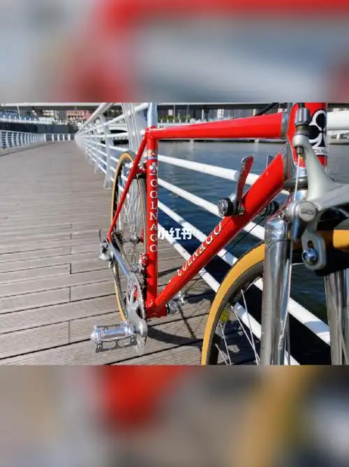 梅花钢架公路车