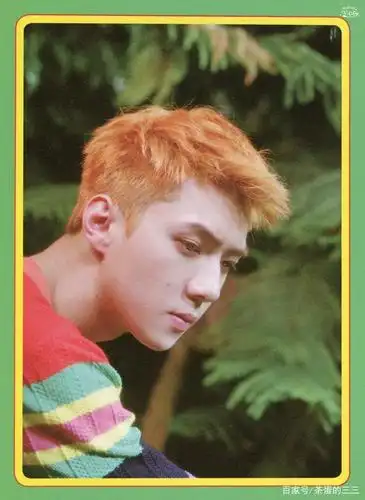 exo吴世勋kokobop图集:可爱的小橘