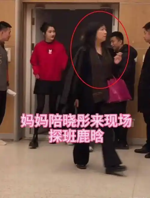 鹿晗_贵妇_样子