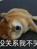 可爱搞笑柴犬微信表情包图片