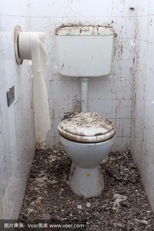 废弃的老房子里的肮脏厕所