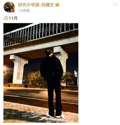 刘耀文晒夜色背影照,路灯下的刘耀文背影好帅 身材比例好绝