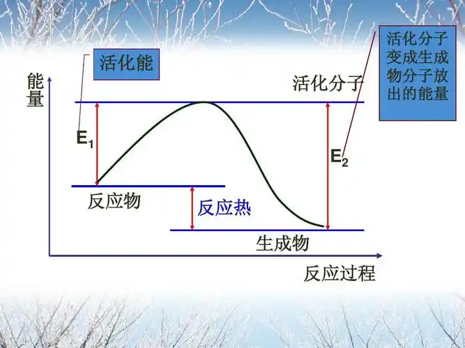 化学化学反应速率,速度的计算ppt