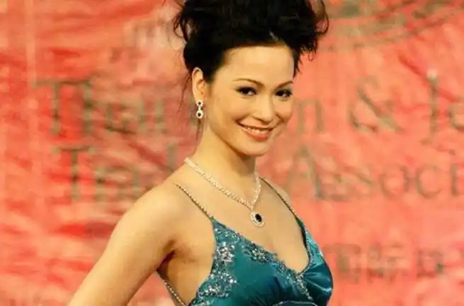 吴京前妻樊亦敏照片樊亦敏个人资料老公是谁