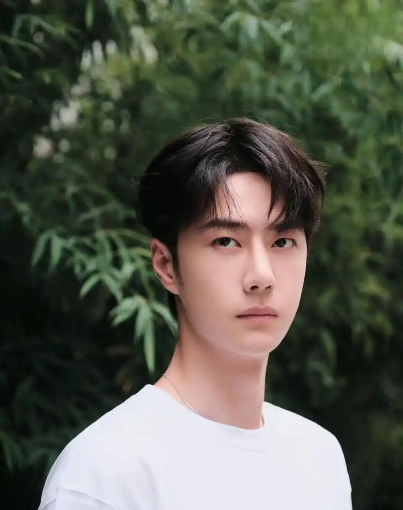 95生格局:五六三王 95生格局五六三王,吴磊,刘昊然,王一博,王俊凯