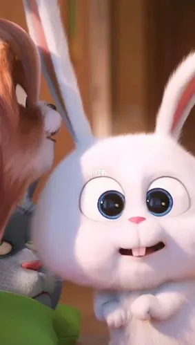 爱宠大机密,可爱兔_兔子_可爱_影视_动漫