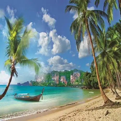 大海背景布 大海沙滩蓝天白云海边椰树风景主播拍视频段子直播背景布