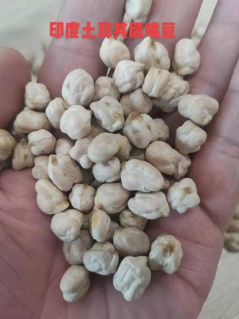 五谷杂粮 ,补肾还得靠鹰嘴豆90. - 抖音