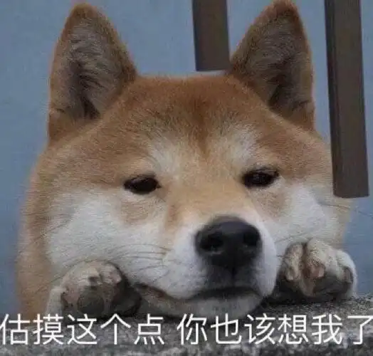 狗头表情包特辑太多了有点杂哈哈哈哈