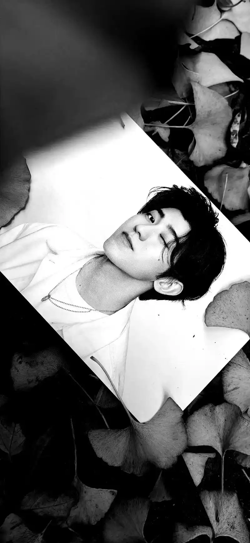 你走的每一步都算数#枯木逢春 #蔡徐坤#黑白系