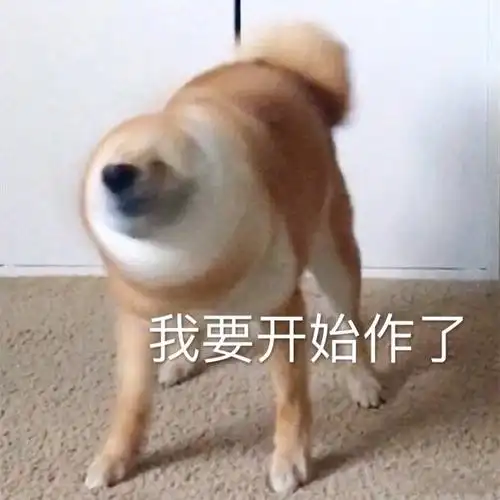 我要开始炸了(汪星人表情包)_汪星人_我要_开始表情