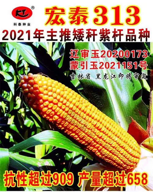 98tang在线无码-艾杏hd入口-艾杏-hd第一地址-艾杏hd 网址一