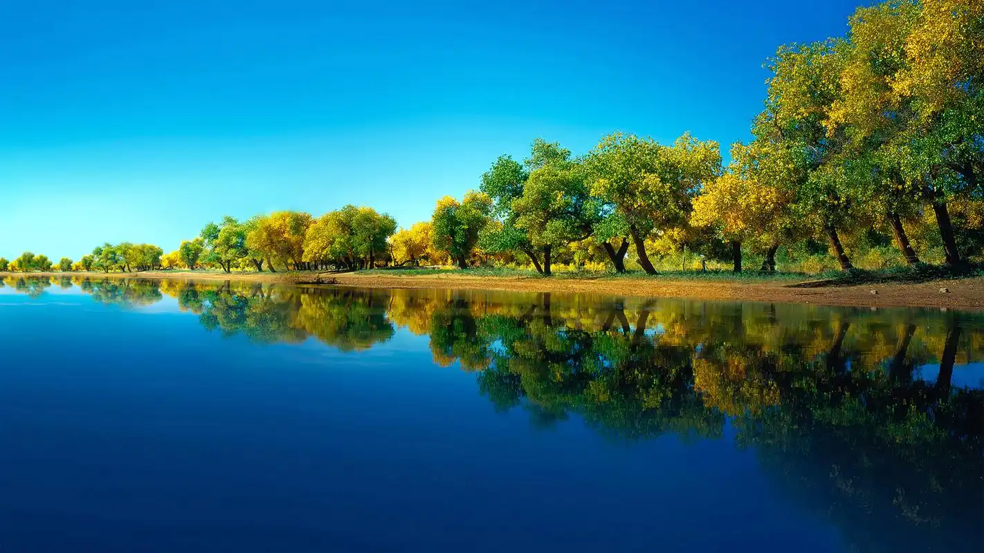 下载壁纸(1920x1080)发布者:my2436558  [声明] 墨鱼部落格所有资源为