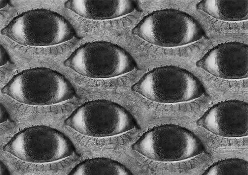 毛毛毛读作cuì的相册-眼眼眼【密集综合症慎入】