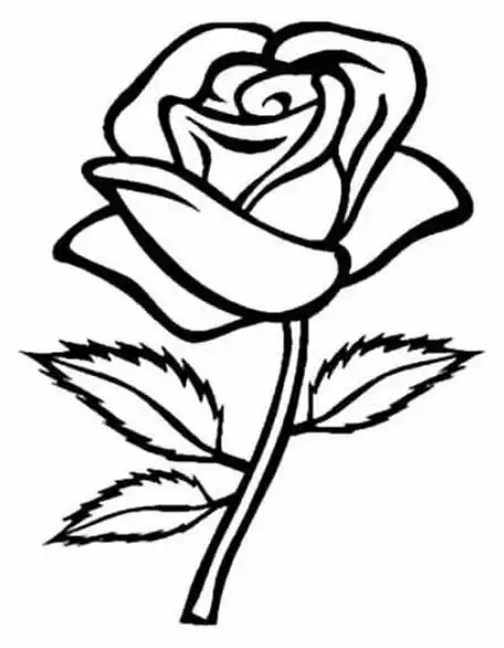 植物| 鲜艳的玫瑰花简笔画_儿童简笔画教程大全_零二七艺考