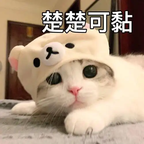 女生专用可爱搞笑聊天表情包