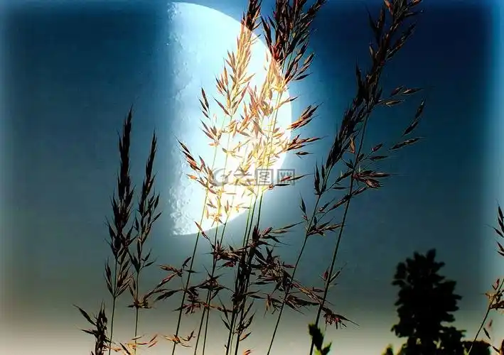 月球月光半个月亮