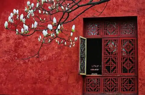 红色系红墙红窗白花古风