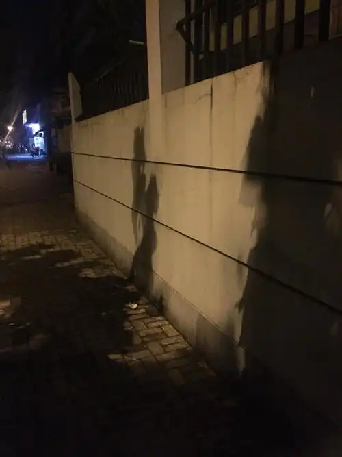 突然想感受熟悉的味道 暖意淡然 黑暗中独自缓行 陪伴的是影子的相随