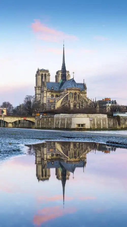 巴黎圣母院,风景-手机壁纸