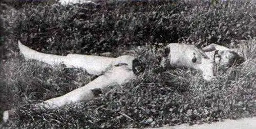 黑色大丽花惨案死者被残忍折磨后分尸凶手或已被确认