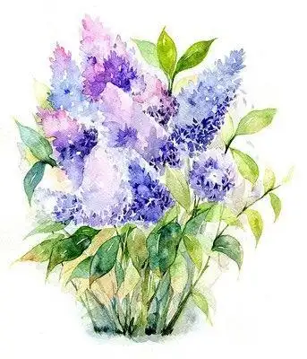 丁香花简笔画图片大全手绘彩铅画优雅紫丁香png