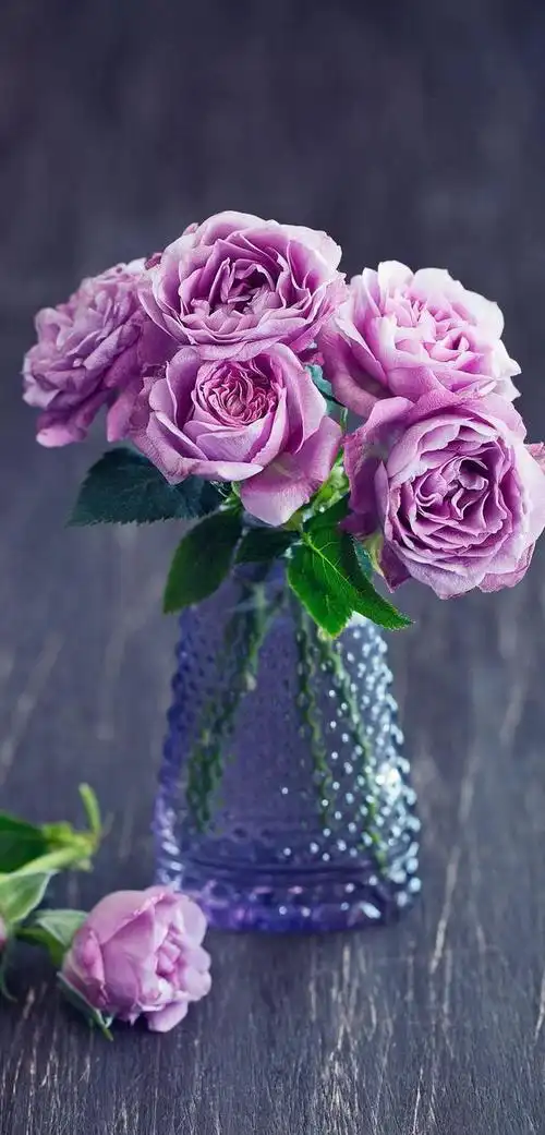 全面屏手机高清唯美壁纸