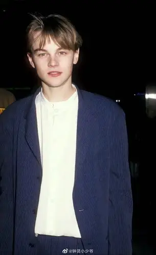 求年轻小李子帅图