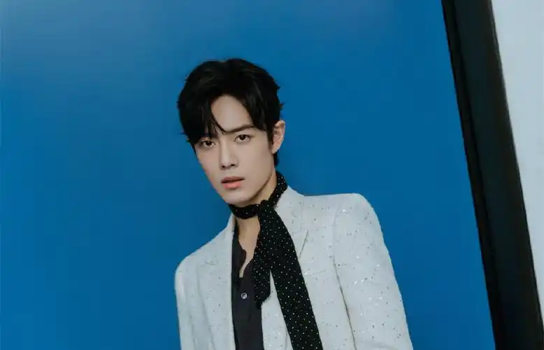 2020超帅肖战时尚壁纸_肖战跨年晚会造型