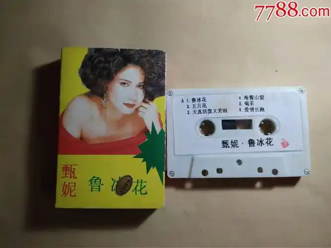 甄妮鲁冰花歌曲下载