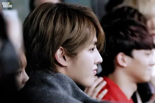 140301 hk airport kris #吴亦凡# 3p