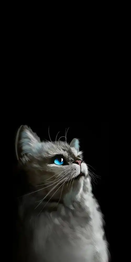 黑色系壁纸高冷范儿