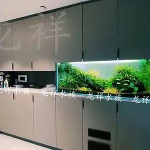 客厅酒柜鱼缸定做 定制餐边柜鱼a缸 玄关隔断嵌入u式玻璃鱼缸水族定做
