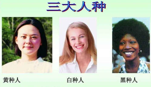 世界三大人种,什么人种人数最多