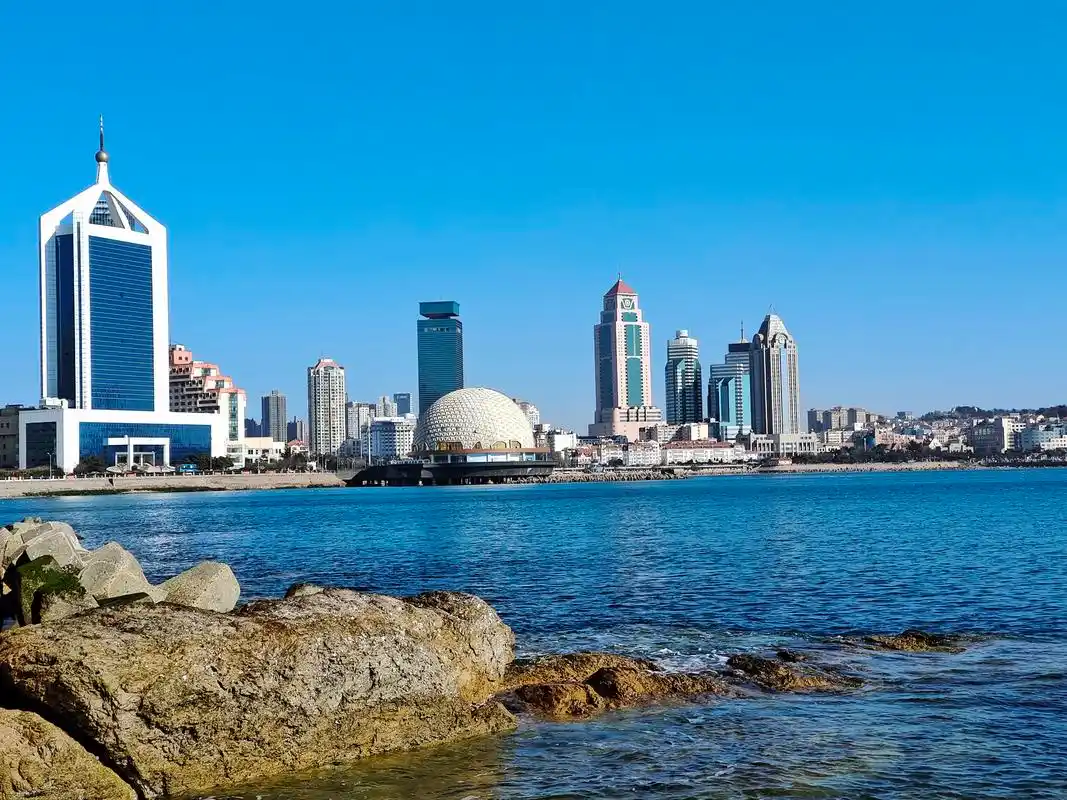 青岛栈桥的海鸥火了,这画面,和朋友圈的不太一样