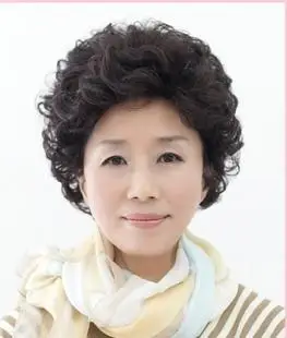 整顶假发中老年假发 女 短发 短卷发 年轻妈妈阿姨中年假发头套